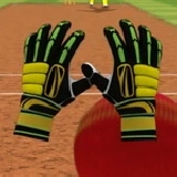 Cricket Fielder Challenge