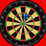 Darts Pro